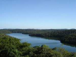 Parque Estadual do Rio Doce – Minas Gerais.  (Foto: Malcoln de Oliveira Silva)