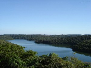 Parque Estadual do Rio Doce – Minas Gerais. (Foto: Malcoln de Oliveira Silva)