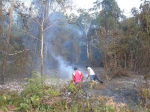 Incêndio continua em Iguaí (Foto: Reprodução / Facebook)