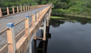 (Foto: Divulgação / Inema)