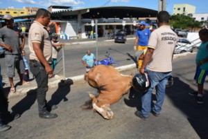 (Foto: Blog do Anderson)