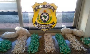 (Foto: Divulgação / PRF)