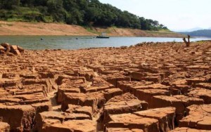 (Foto: Reprodução / CNM)