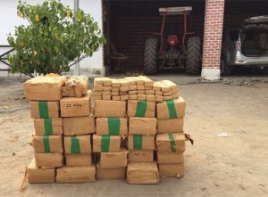 (Foto: Divulgação)