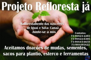 reflorestamanto em Iguaí