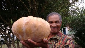 (Foto: Divulgação/ Incra / BA)