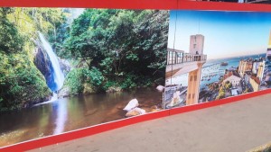 (Foto: Fátima Couto Novaes)