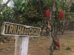 (Foto: Divulgação)