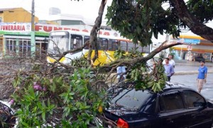 (Foto: Reprodução / Blog do Marcelo) 