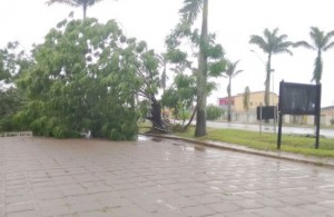(Foto: Portal Poções)