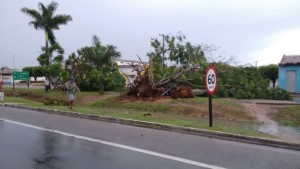 (Foto: Portal Poções)