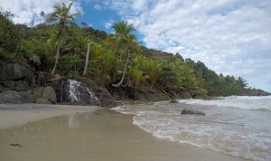 (Foto: Divulgação)