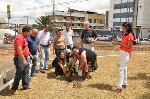 (Foto: Divulgação)