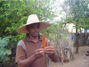 (Foto: Divulgação)