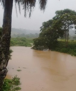 Rio Gongogi em Iguaibi  (Foto: internauta do Iguaí Mix / Jozé Bino)