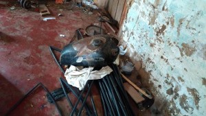 (Foto: PM/Divulgação)